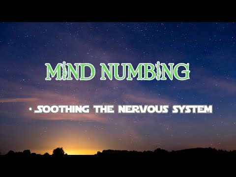 Mind Numbing – Deep, Immersive Sounds for Total Relaxation and Stress Relief