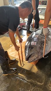 326K views · 5.8K reactions | Massive 343 kg Bluefin Tuna: The Ultimate Ocean Monster! #bluefintuna | Food Adventure | Facebook