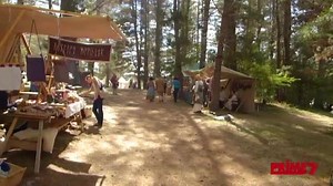 32K views · 304 reactions | Almost 700 people are stepping back in time to recreate the Dark Ages in the Armidale pine forest. Prime7 Local News weeknights at 6pm. #PRIME7 | 7NEWS New England | Facebook