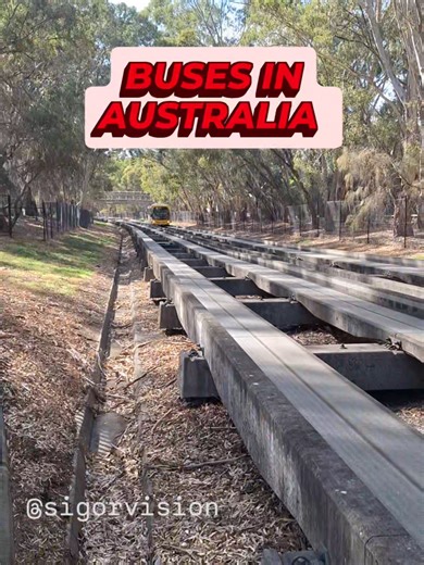 Exploring Buses in Australia: The Adelaide O-Bahn Experience