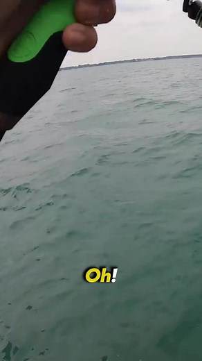 3.7K views · 131 reactions | This Fish tried to bite me! #fishing | 1Rod1ReelFishing | Facebook