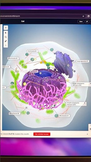 Learn medical knowledge using interactive 3D models #medical #anatomy #study