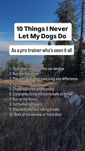 Does your dog do one or more of these? Let’s talk about it! 💬 And if you want all of my behind-the-scenes insights from a decade of being a pro trainer … Comment BOOST and I will send you up for my free email newsletter 📧 AND I’ll also send you a free 14 day training plan! | SpiritDog Training