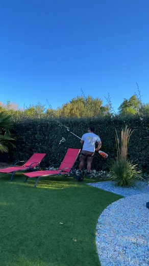 Taille d’eleagnus #paysagiste #lessablesdolonne #nature #jardinage #boulot #entretien #jardinier #haie #taillehaie #broyeur