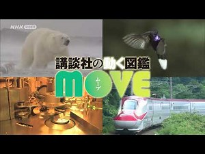 【NHKDVD 公式PR動画】「生きもののふしぎ新訂版」2021年秋最新刊情報などが満載！