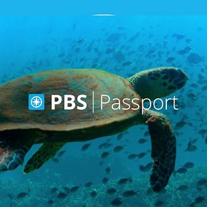 With LPB Passport, get extended access to your favorite PBS and local LPB programs – anytime, anywhere! Binge, catch up, and rewatch your favorites. Learn more: lpb.org/passport  | Louisiana Public Broadcasting | Facebook
