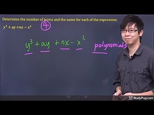 ʕ•ᴥ•ʔ What are Polynomials? Explained!