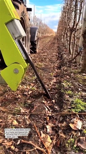 Tractor-Mounted Root Pruner in Modern Orchards | Boost Fruit Yield & Control Tree Growth