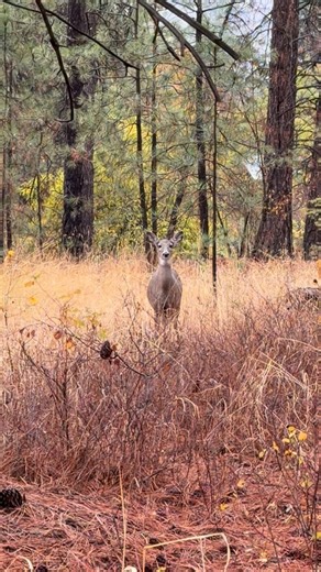 28 reactions | “We aren’t going to pretend we’re best friends.” No Disney Princess Magic in me this morning. Apparently. | Stephanie Regalado | Facebook