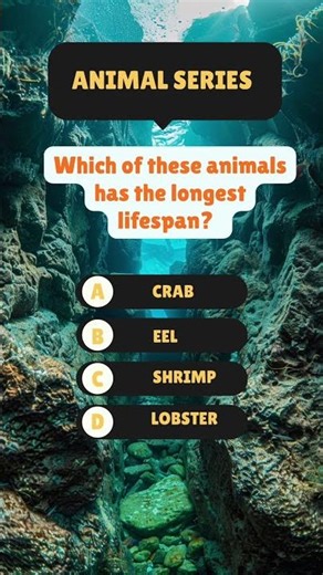 Quiz Time With Animal Series N0.25 #quiz #facts #animals