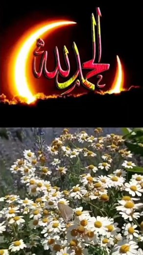 Teri jalwa gari ha,# ay Khuda ay Khuda,#muhammadﷺ ,#trendingshorts ,#darood ,#islamicshorts ,#viral