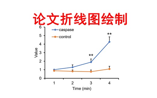 论文折线图绘制