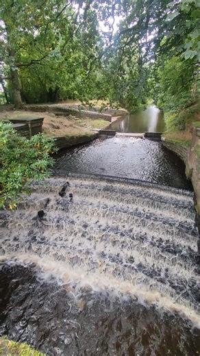 Katie Hall on TikTok