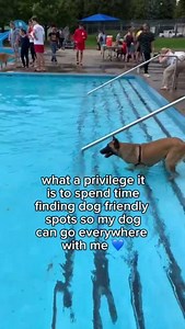 3.4K views | Find dog-friendly spots nearby on the DogPack app!  https://ow.ly/4mZc50Vip4u | DogPack | Facebook