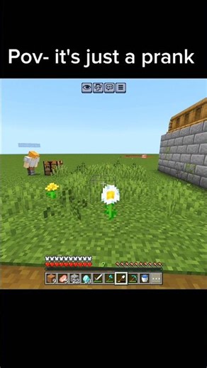 TNT under my house best prank ever! 🙂💣#trollfail #minecraft