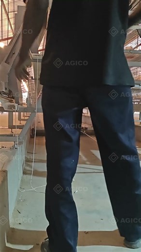 Automatic Poultry Manure Scraper in Action: How It Keeps Chicken Cages Clean (Full Demo)