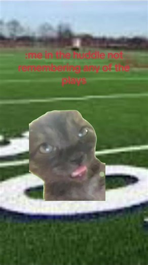 7274276537975737630