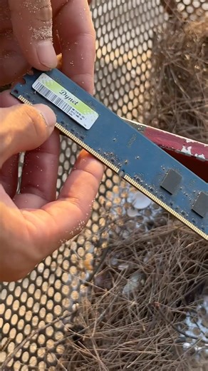 I Found a RAM Stick #beachcleanup #beach