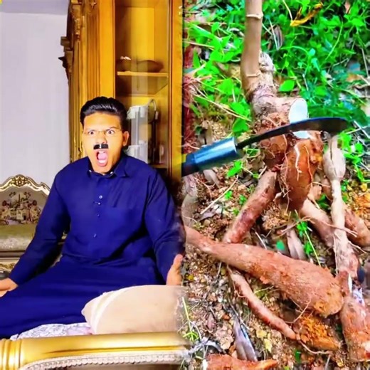 Una actualización cada día, Sígueme para más comedia 🤣