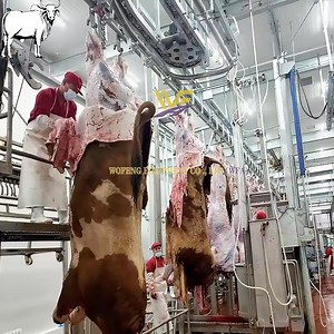 [Hot Item] Factory Manufactured Halal Meat Processing Plant Cattle Slaughterhouse Equipment for Cow Cutting Butcher Abattoir