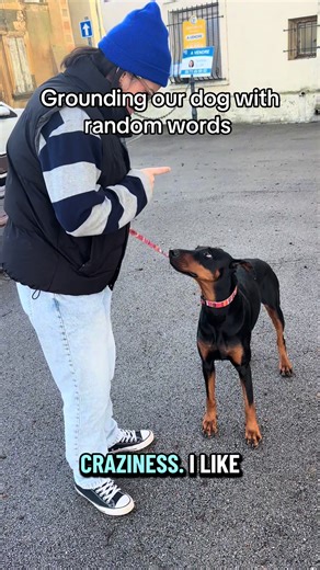 Making Education Funny: Grounding Our Dog with Words