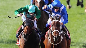 Cox Plate finishing order, results