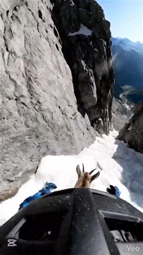POV: Mountain Goat Camera Run 😱 | Insane Cliff Jumps on Snowy Mountains 🐐🏔️ #islamicreminder