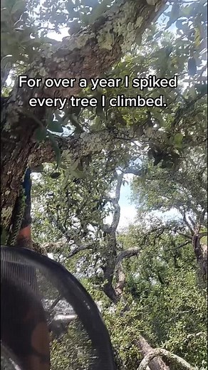 Discover Your Passion and Grow with Tree Climbing Arborists
