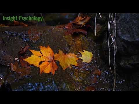 Leaves on a Stream - A Guided Exercise Used in Therapy | Insight-Psychology