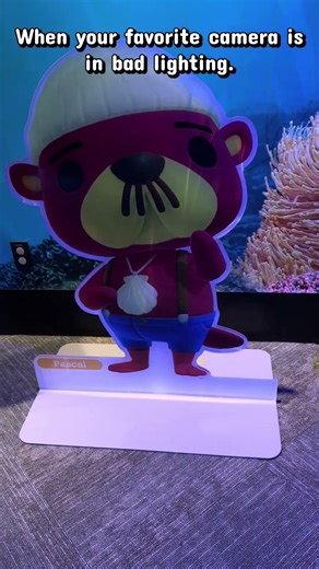 Switching from Game Boy Camera to 3DS.