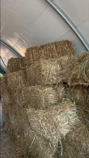 Vidéos de nos clients : Tunnel de stockage agricole MEGAPLUS, Casado fabricant de serres