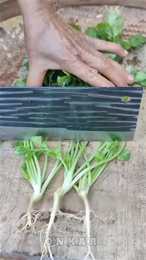 Knowledge Wala Shorts on Instagram