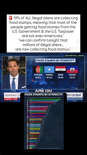 53K views · 2K reactions | 59% of illegal aliens in our country are collecting food stamps. We would have never known this little important piece of information if it wasn’t for the Democrat government shut down. So our hard earned tax dollars are going to support bums who don’t belong in our country in the first place. Remember this next time you go vote. ￼ | Brigitte Gabriel | Facebook
