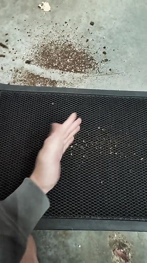 Keep dirt outside where it belongs 🧼 The Muddy Mat Quick-Dry Door Mat traps mud, sand, and moisture before it ever hits your floors. Perfect for busy homes, garages, and patios — this heavy-duty, non-slip mat is washable, durable, and built to handle whatever your shoes bring in. #MuddyMat #HomeEssentials #CleanHome #DoorMat #PetOwners | Boldnorth picks