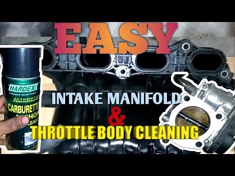 (Easy Service)Intake Manifold and Throttle Body Cleaning