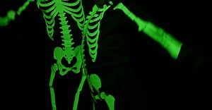 Video by Mike Jones on Pexels