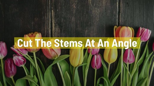 How to prevent your tulips from drooping