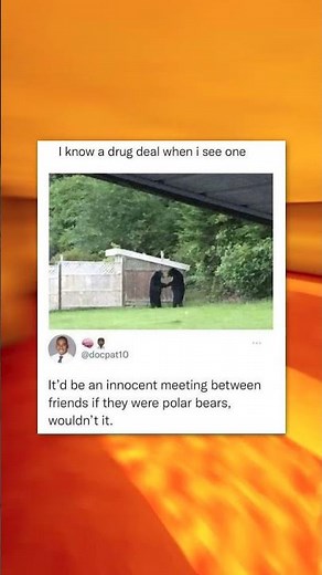 Memes That Make You Hol' Up