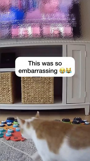 Russell is out here exposing me 😹😩 . #catmanjohn #funnycat #russellthecat #talkingcat | Russell The Talking Cat