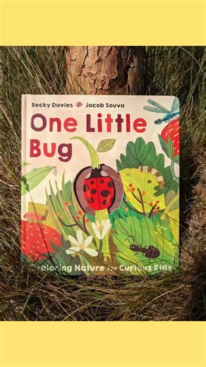 1K views · 13 reactions | If you saw these posted last week and couldn't choose which ones to get you maybe pleased to know they are now available as a pack offer  | Books for Bugs | Facebook