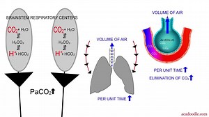 PaO2 & PaCO2 http://buff.ly/2roVgKo | ECG Teacher