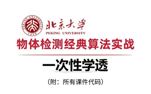 AI人工智能！物体检测实战被北大教授给讲透了，原理 论文详细解读，带你快速入门！附配套资料