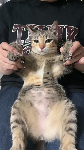 Yêu Thương Phụ Nữ Qua Điệu Nhảy Lyric