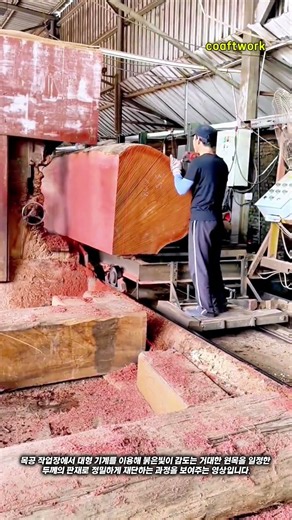 대형 목재 제재소 판재 가공 과정 #worker #process #woodworking #sawmill #timber
