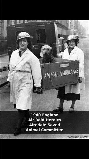 1940: Airedale Rescued in Air Raid