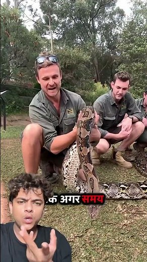 😱top 5 scariest creatures living in the Amazon Rainforest #shorts #facts #youtubeshorts #viral