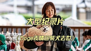 大型纪录片《Doge表情包柴犬去世》_哔哩哔哩_bilibili