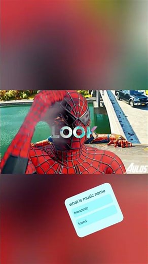 They say friends don’t let friends do stupid things alone...