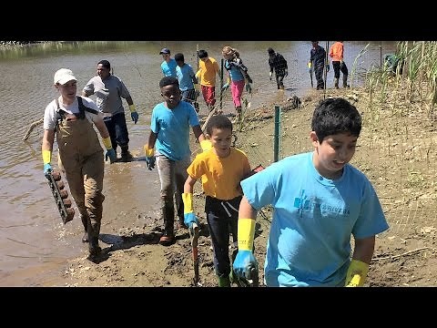 Solving Real-World Problems: Bringing Authentic Context to Learning