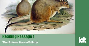 IELTS Practice Tests Plus Volume 3_Reading Practice Test 3